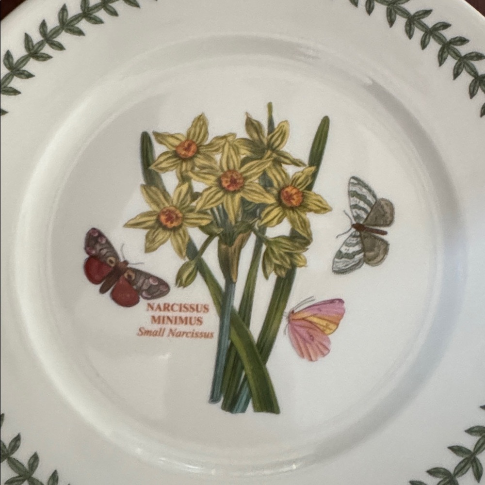 Botanic Garden Floral Luncheon Plate— Small Narcissus - new and never been used. - Picture 3 of 3